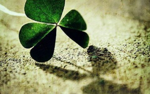 中国联通携手蔚来共建5G联合创新中心