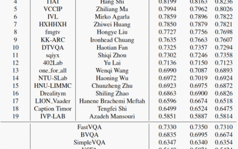 淘宝视频质量评价技术，获得全球顶级技术比赛CVPR NTIRE冠军