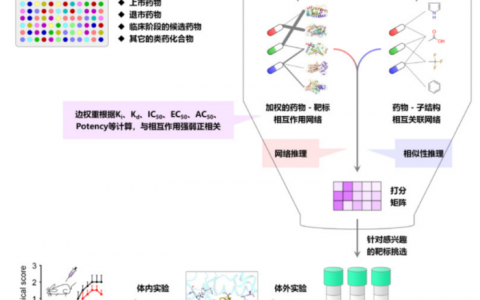 华东理工大学唐赟：药物研发最忌急功近利，行业还需大浪淘沙 | AI制药十人谈