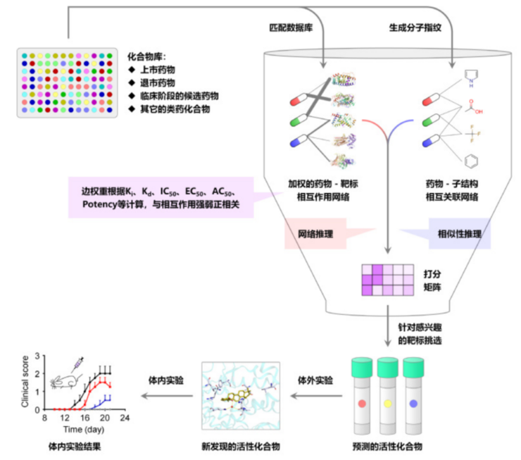 华东理工大学唐赟：药物研发最忌急功近利，行业还需大浪淘沙 | AI制药十人谈