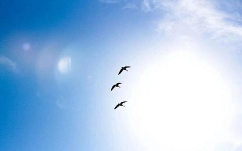 为什么说「分工协作」一定是智能汽车产业最优解