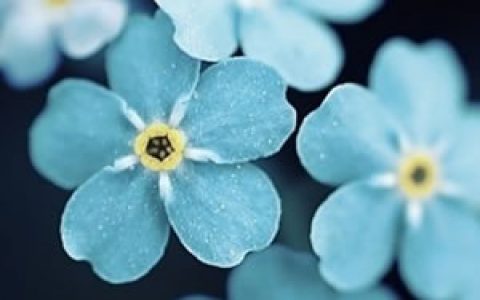 潮起正是扬帆时|舟山市普陀区聚焦产业高地 成功举办先进智造深圳分站赛