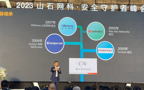 山石网科为什么自研网络安全芯片？