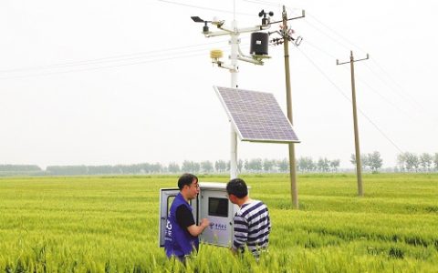 安徽电信“无人农场”助糯稻增产