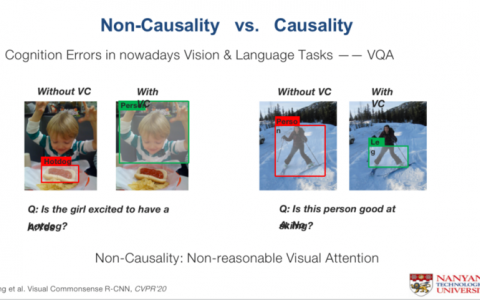 张含望：大模型的研究离不开因果关系（Causality）