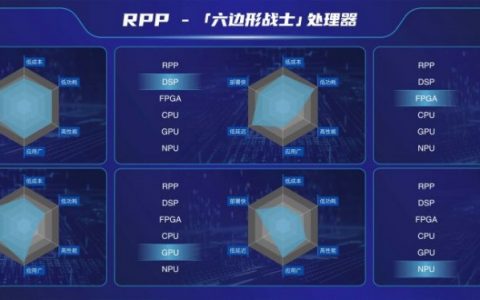 RPP「六边形战士」处理器：融合NPU与GPU优势，兼具高效与实时性的AI新星