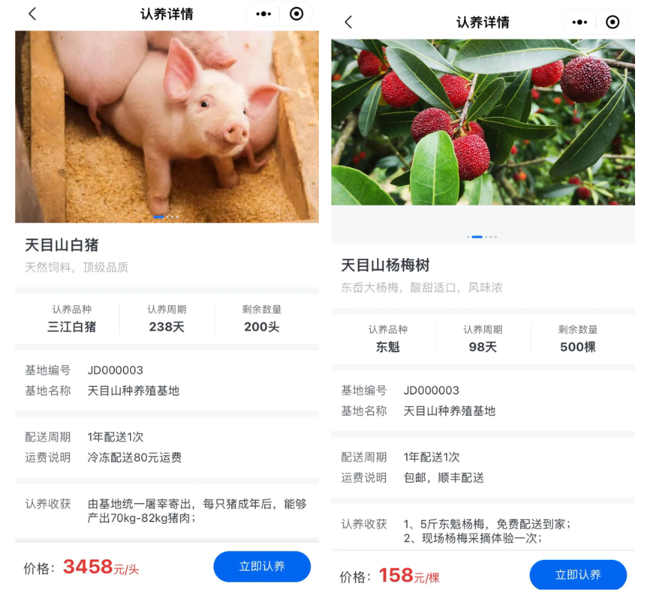 “认养”+“农业”怎么玩？超级码认养云平台——打通产供销，助农增收促振兴