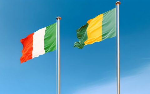 几内亚和科特迪瓦将加强数字连接