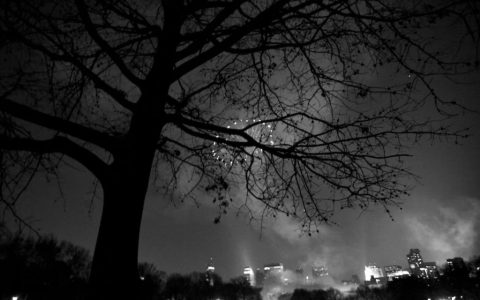 零售商将对话式人工智能和分析功能更贴近用户