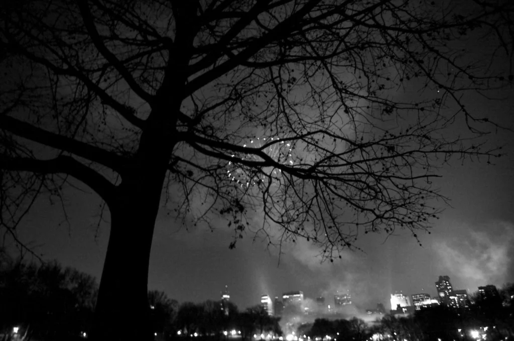 零售商将对话式人工智能和分析功能更贴近用户